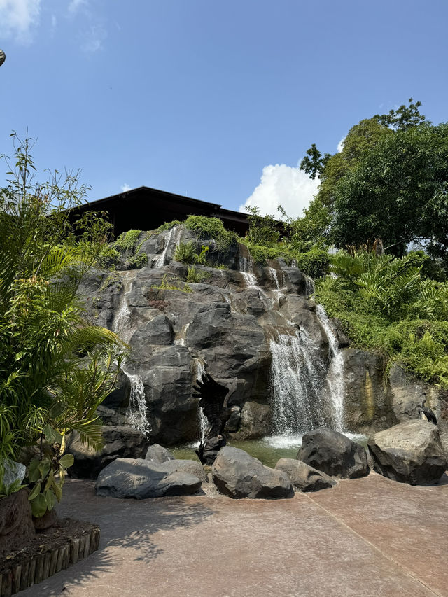 Bird Paradise Singapore: A Must-Visit for Nature & Wildlife Lovers