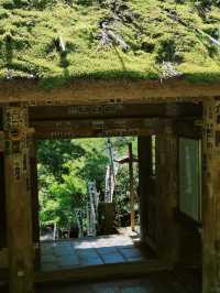 景點推薦：東京近郊・鎌倉報國寺——靜謐竹林中的禪意世界