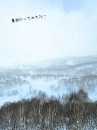 【新潟／南魚沼】雪質極上！パウダーが楽しい「かぐらスキー場」⁡