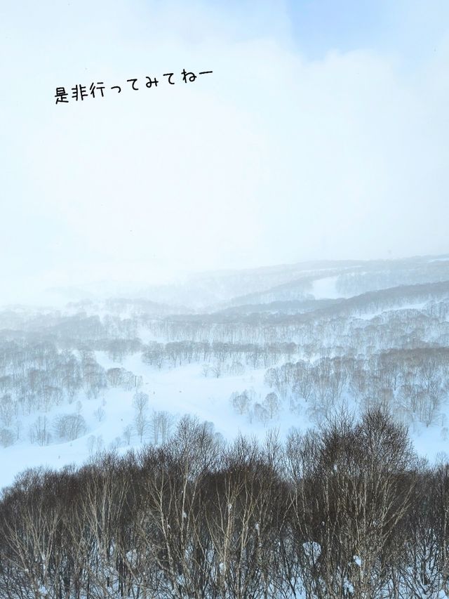 【新潟／南魚沼】雪質極上！パウダーが楽しい「かぐらスキー場」⁡
