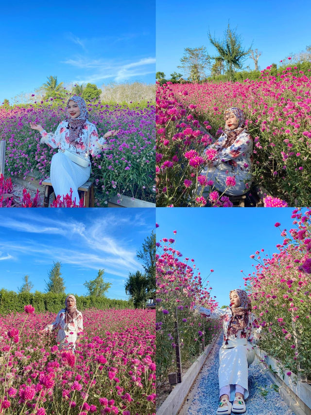 สวนลุงเวศน์ - จังหวัดตรัง 🪴✨