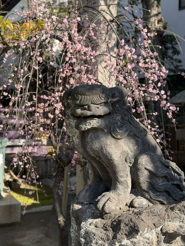 A Hidden Gem in Tokyo – Takagi Shrine⛩️