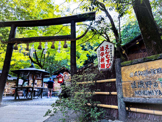 【京都：嵐山】恋愛スポット野宮神社で恋愛・子宝祈願！