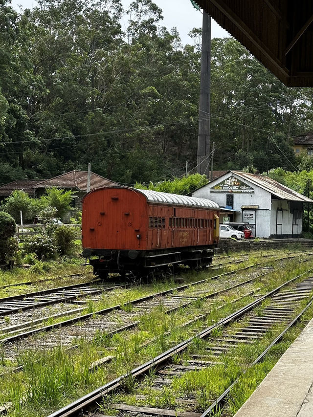 🇱🇰斯里蘭卡霍頓平原