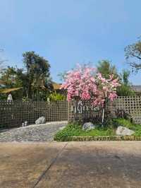 ฤดูกาล Ruedookarn Cafe & Cuisine