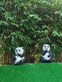 Experiencing the Charm of China-Malaysia Friendship Garden