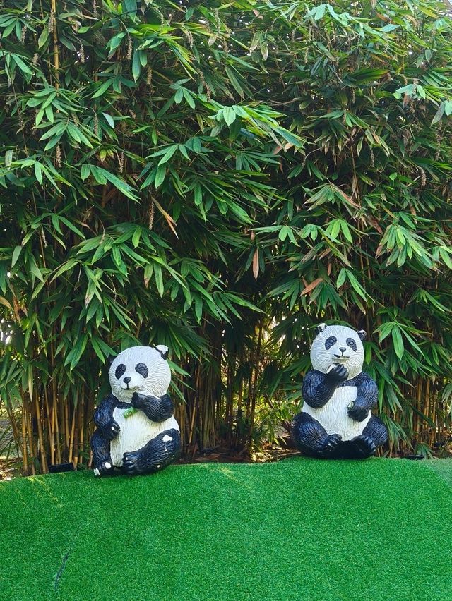 Experiencing the Charm of China-Malaysia Friendship Garden