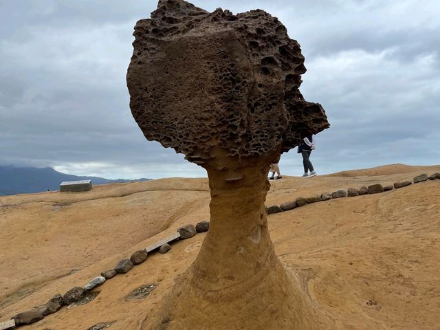 Exploring Nature's Wonders: A Journey Through Yehliu Geopark