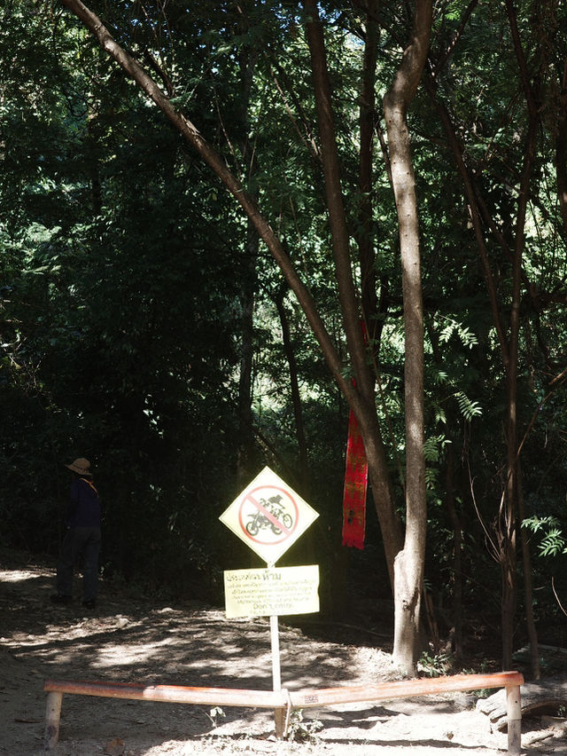 🌄 **【清邁素貼山徒步指南：雲霧與石階交織的朝聖路】** 📜  