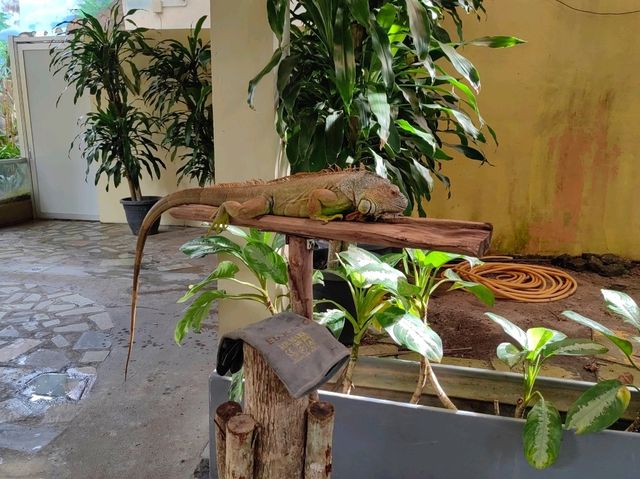 Langkawi Wildlife Park