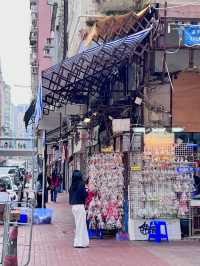 ［香港旅遊］通菜街🧺、花園街🌸、金魚街🐟-最具港風的市井街道🇭🇰體驗香港的人間煙火💯