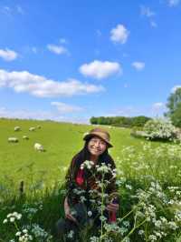 英格蘭&蘇格蘭邊境小旅行