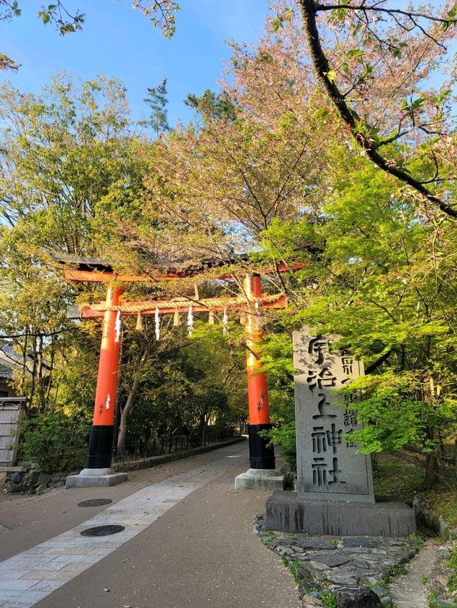 我在宇治天氣晴