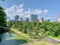 【東京】皇居東御苑 菖蒲の美しい景色 