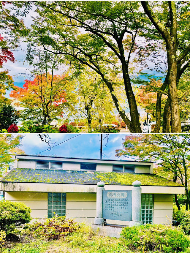 【日本山梨】河口湖美景、天上山下紅葉