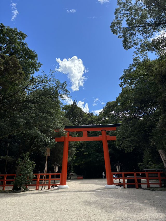 超弾丸！京都1日詰め込み旅