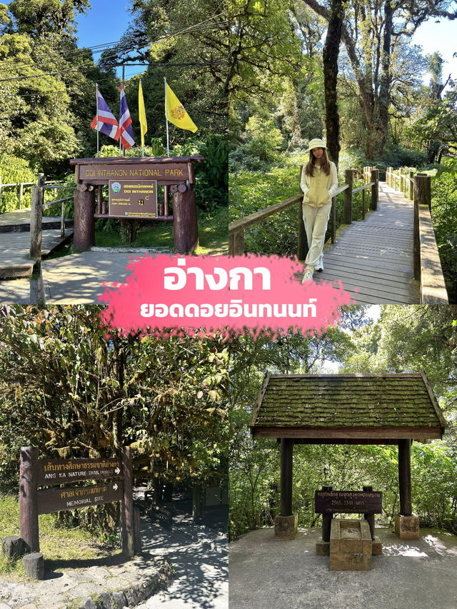 ✨ห้ามพลาด ที่เที่ยวธรรมชาติเชียงใหม่✅