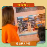 🇭🇰中環站《同萌社區》貓店長🐱攝影展📷打卡攻略