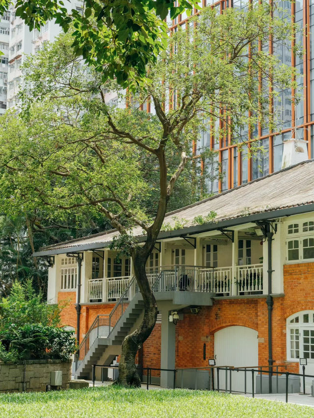 香港北角｜最cozy的城市綠洲🌲🍃Oi!