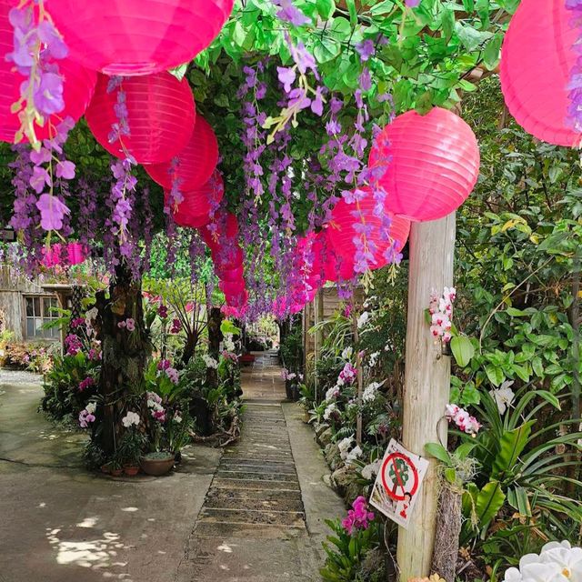 Onoyama Park