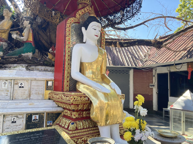 ไหว้พระขอพรดอยสุเทพ พระธาตุประจำปีมะแม 