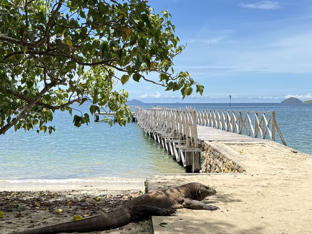 Labuan Bajo 4 Days Travel Guide 