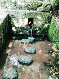 🌸 **森川公園櫻花觀賞遊覽分享** 🌸