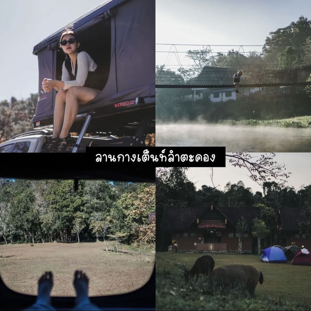 ⛰️ มัดรวม 7 ที่เที่ยวเขาใหญ่ถ่ายรูปสวยได้คอนเท้นต์