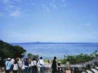 美麗海水族館🐋為了見鯨鯊一面一定要去