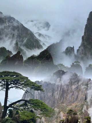 Climbing Huangshan Mountain