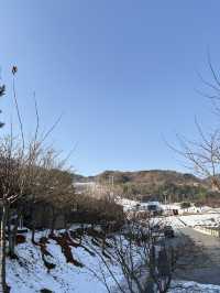 南韓 德裕山國家公園