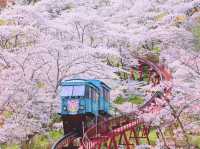 Chasing Sakura at Funaoka Joshi Park Monorail