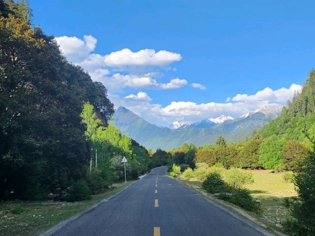 🌊 林芝巴松措深度攻略——西藏“天使之淚”