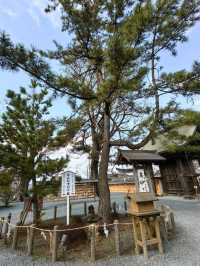 二千年多年歷史的阿蘇神社回來了