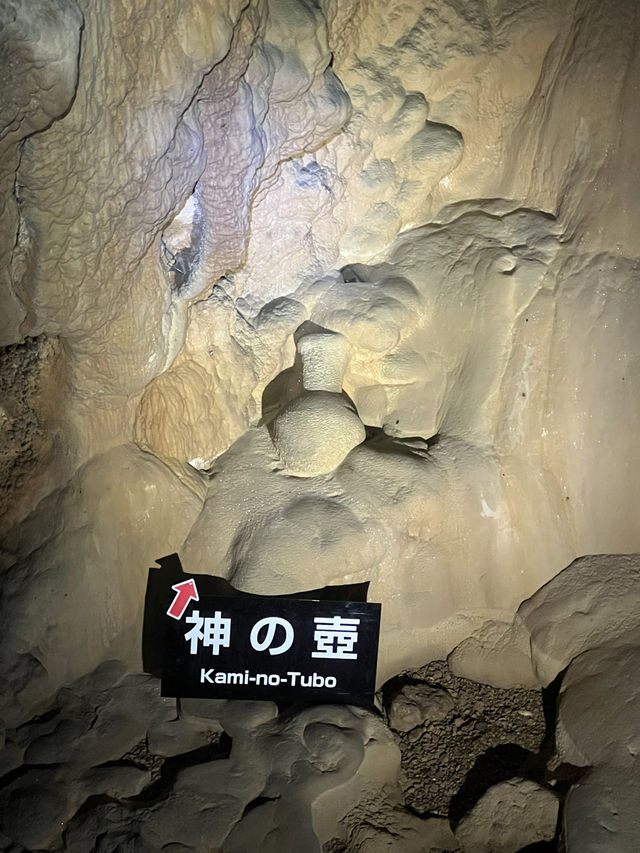 神秘の地底探検！龍河洞ケイビング体験