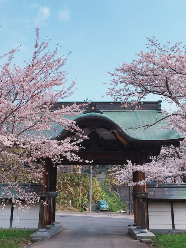 Spring in Otaru: Sumiyoshi Shrine🌸