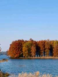 Siming Mountain National Forest Park: A Nature Lover's Paradise