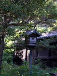 湯島聖堂🏛️ 日本最古の学問所で歴史を感じる