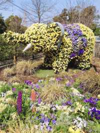 Spring Outing to Satoyama Garden – A Floral Paradise