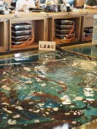 【高知】新鮮な海鮮料理を🐟 活魚 漁ま