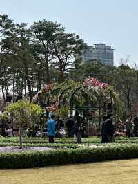 벚꽃 풍경과 야간 라이트업을 보며 🌸산책데이트하기에 좋은 벚꽃여행지🌸