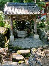 Azaleas in Full Bloom at Matsunoo-taisha Shrine