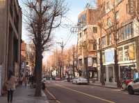 Seoul Through my Eyes