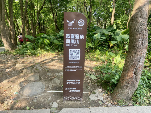 感受大自然的魅力⛰️✨鳳凰山森林公園🧗 