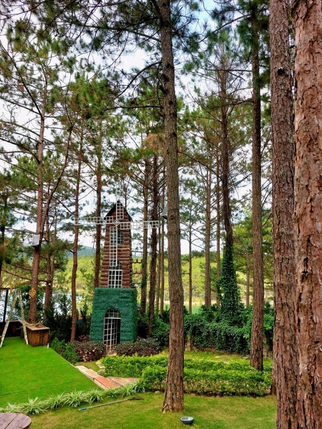 Romeo & Juliet Guesthouse @Dalat, Vietnam