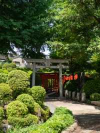 朱のトンネルをくぐって、心が浄化される根津神社⛩️🌿