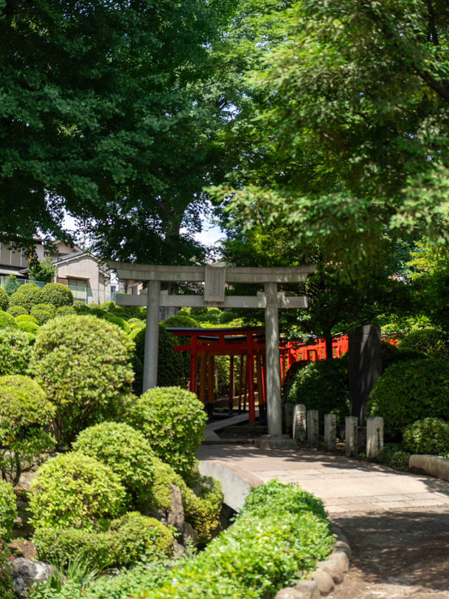 朱のトンネルをくぐって、心が浄化される根津神社⛩️🌿