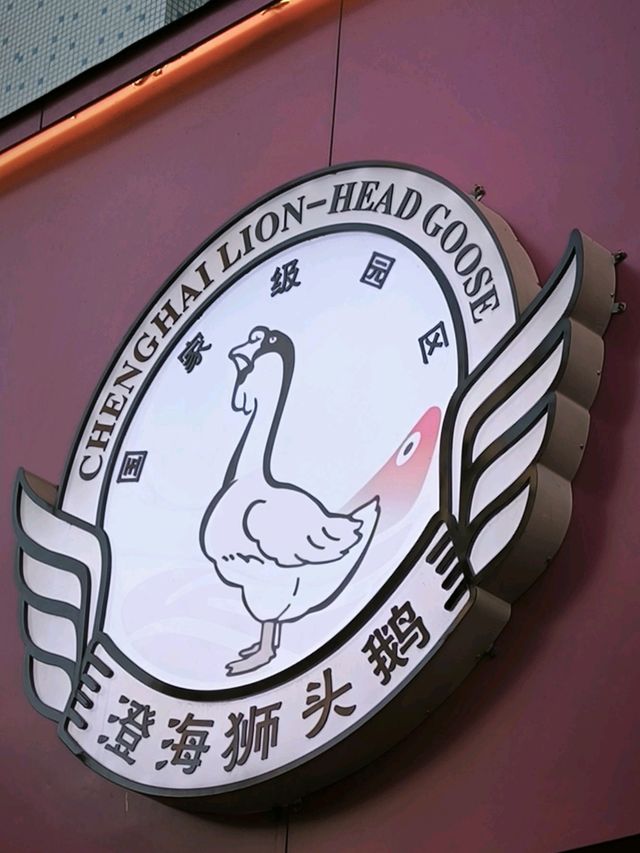 【澄海獅頭鵝】是吃潮汕美食之首選,開餐啦！