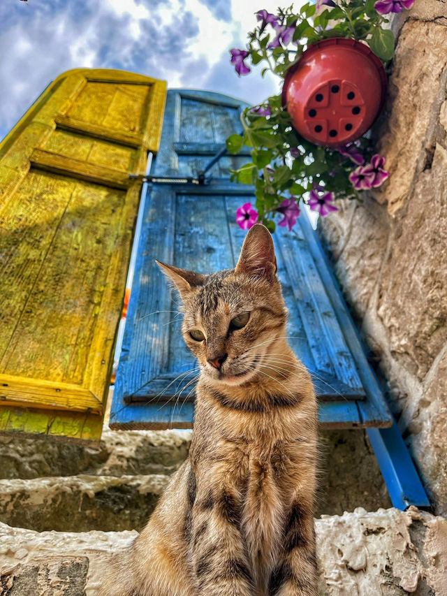traditional Palestinian houses