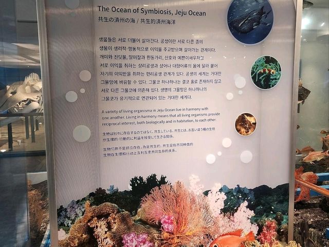 제주민속자연사박물관